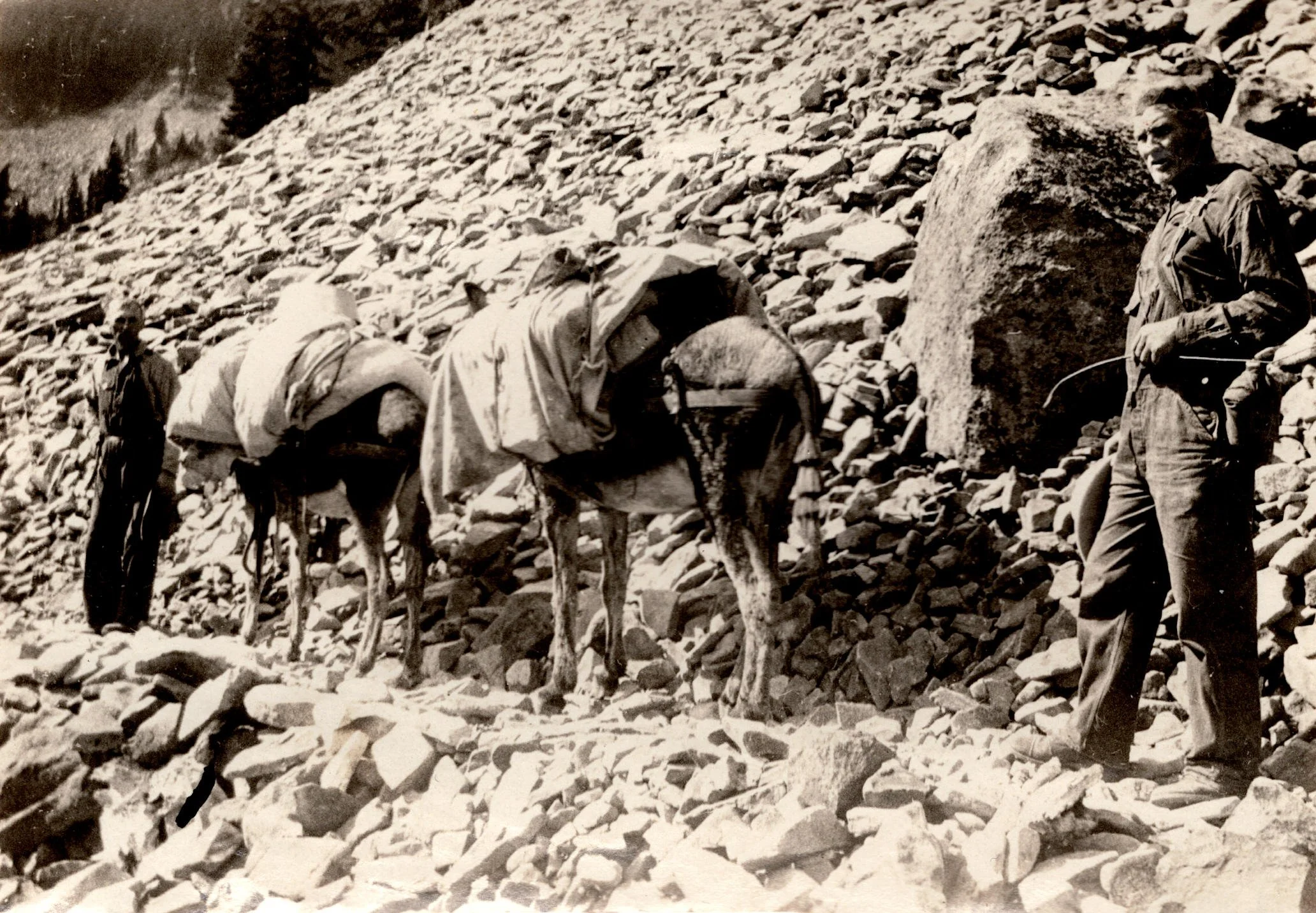 Historic Mount Jefferson (plus bonus!) - Oregon Hikers